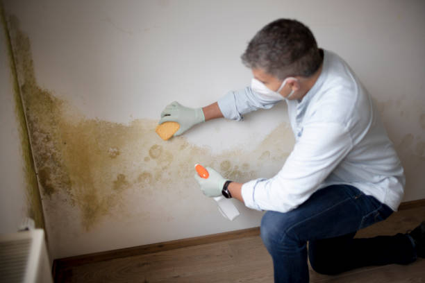 Asbestos and Lead Testing During Mold Inspection in Marbleton, WY