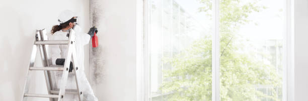 Best Mold Remediation for Rental Properties  in Marbleton, WY