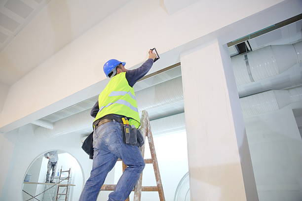 Best Black Mold Removal  in Marbleton, WY